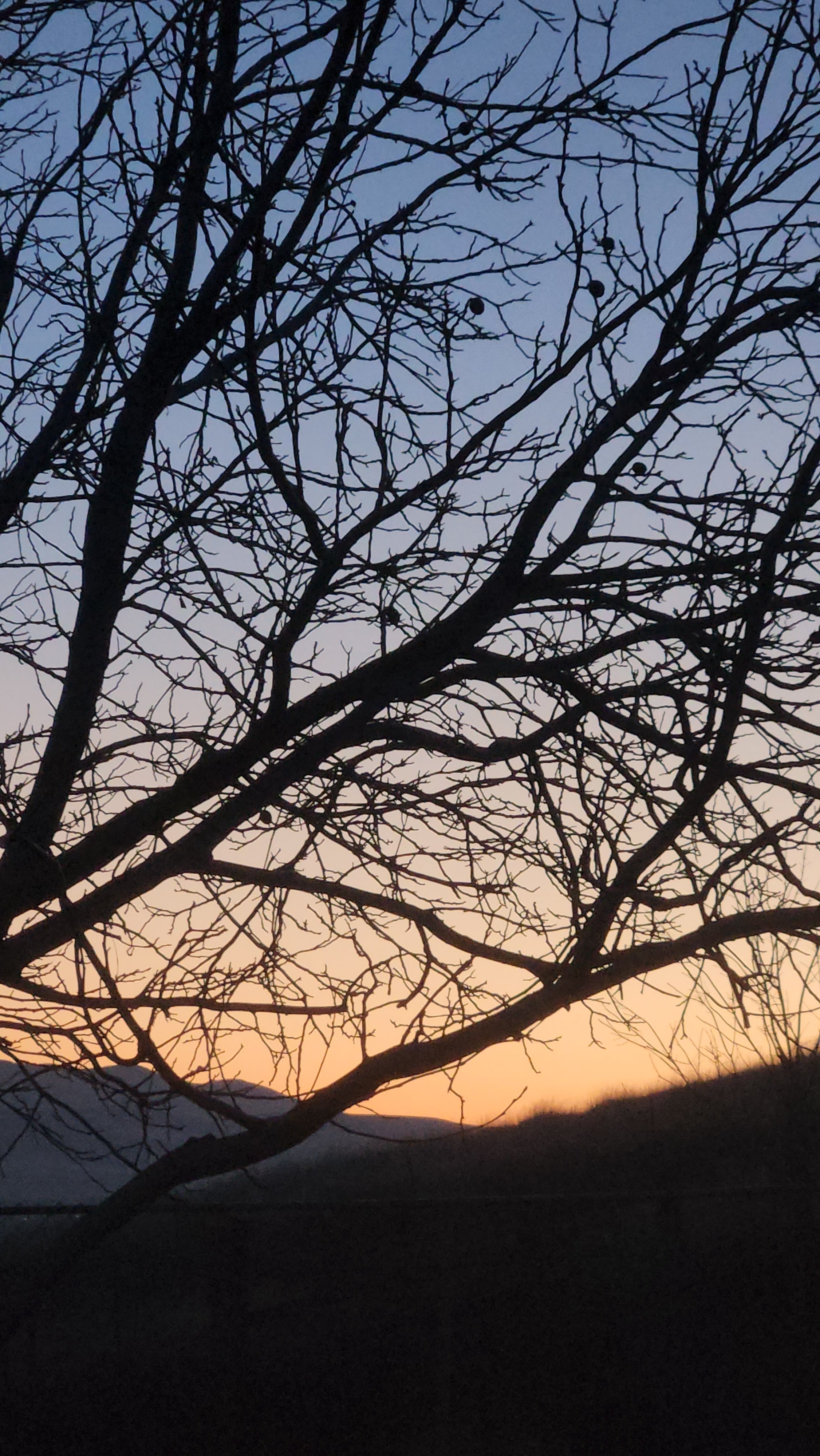 Picture of sky line you can print and use.