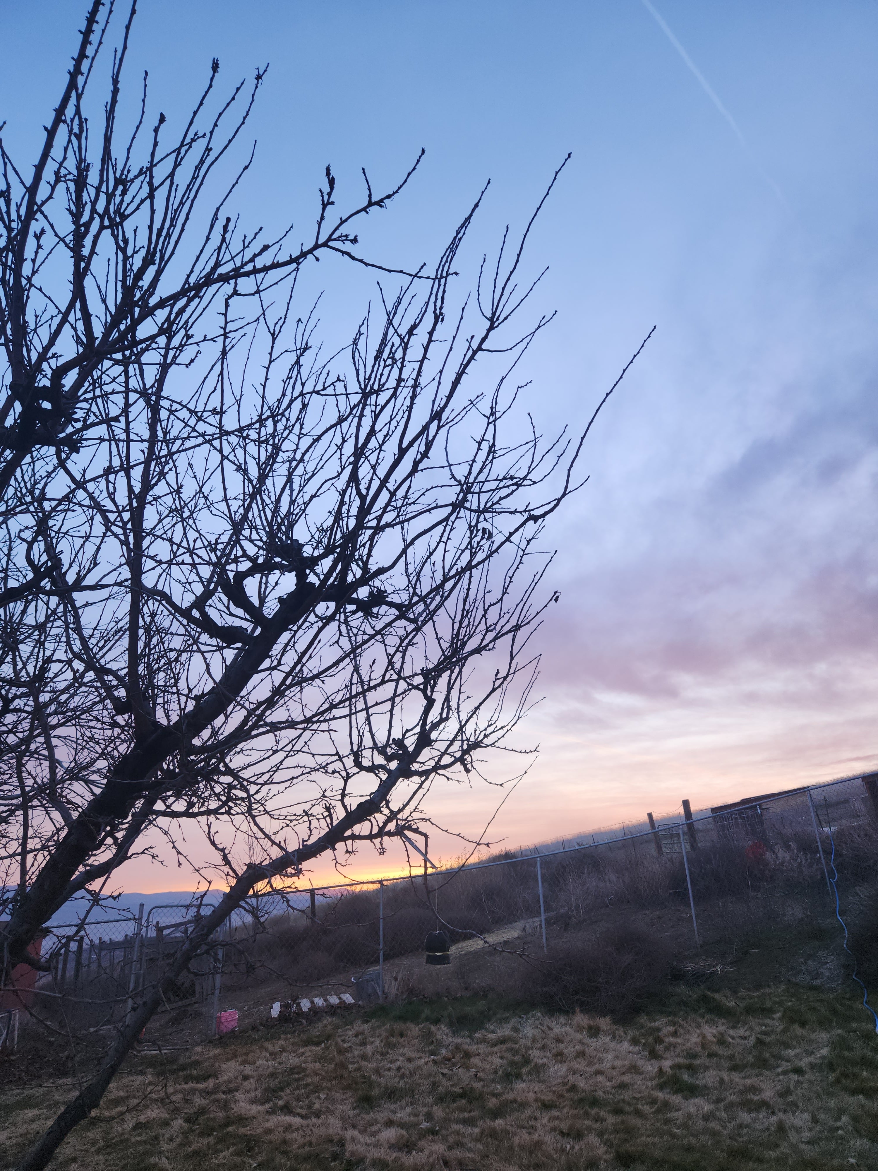 Picture of sky line you can print and use.